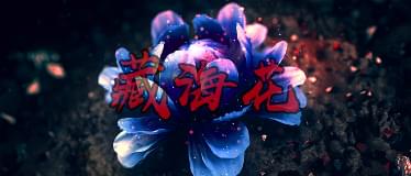 藏海花